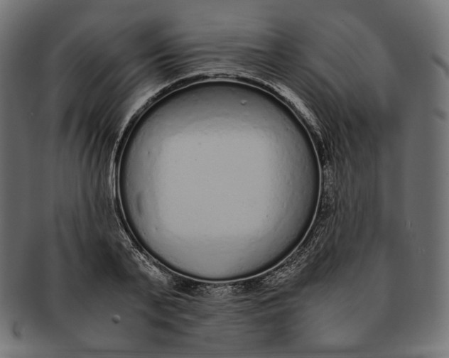 X0000091520791200709071016