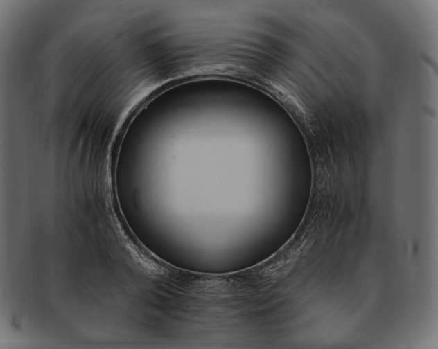 X0000091520792200709071016