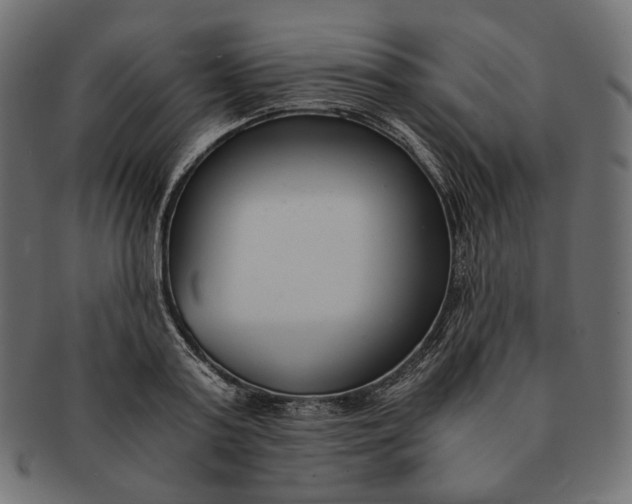 X0000091520795200709071016