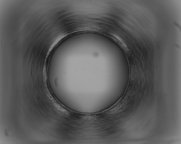 X0000091520796200709071016