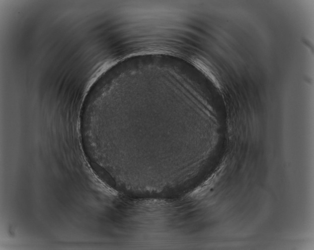 X0000091520797200709071016