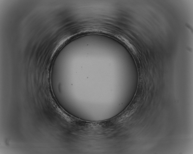 X0000091520799200709071016