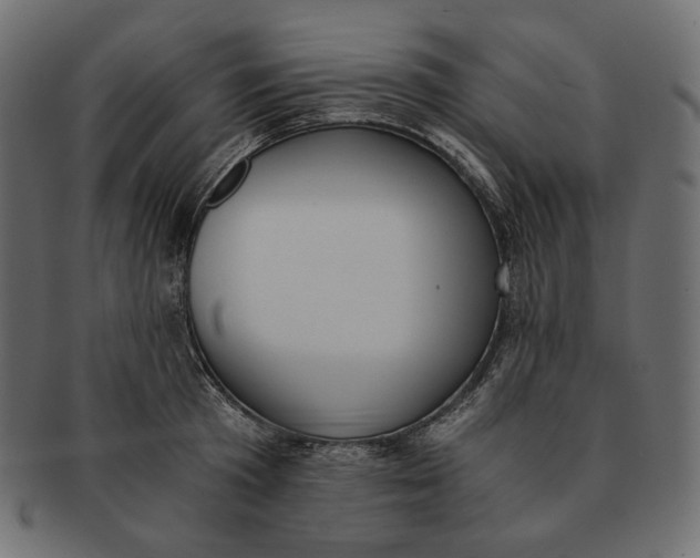 X0000091520801200709071016