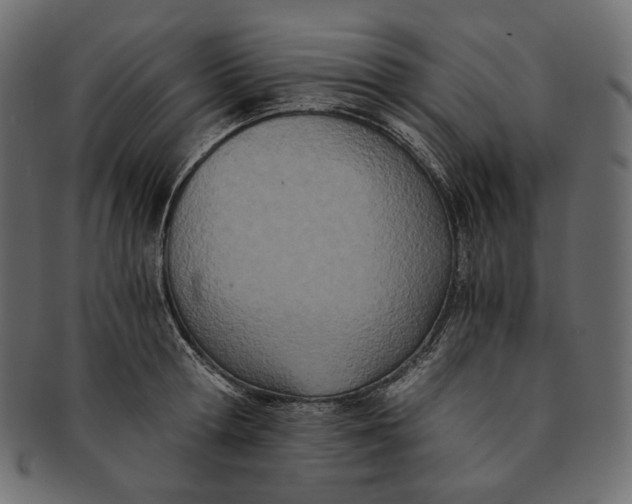 X0000091520802200709071016