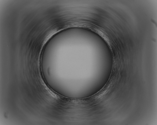 X0000091520803200709071016