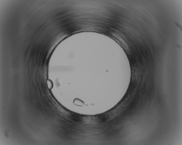 X0000091520804200709071015