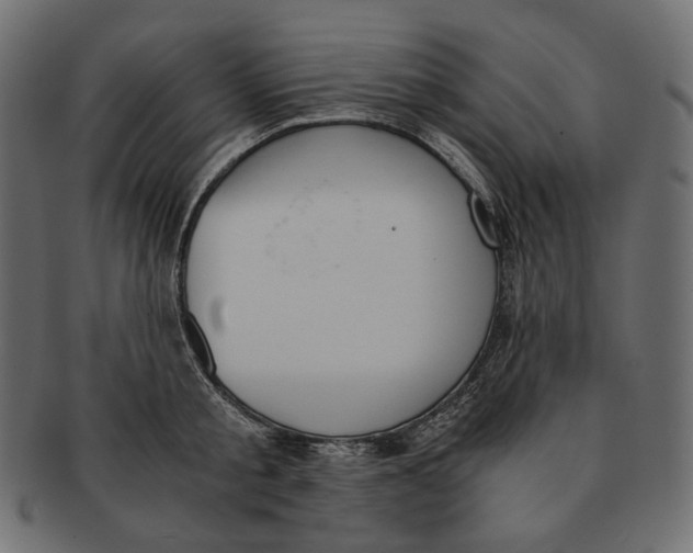 X0000091520805200709071015