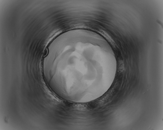 X0000091520806200709071015