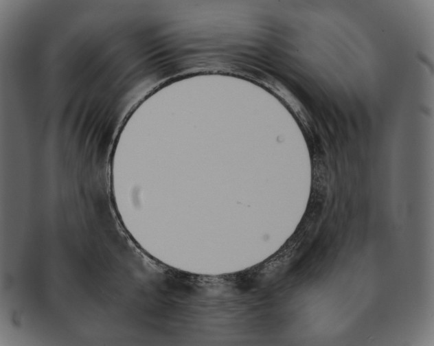 X0000091520807200709071015