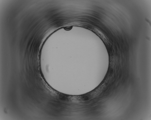 X0000091520808200709071015