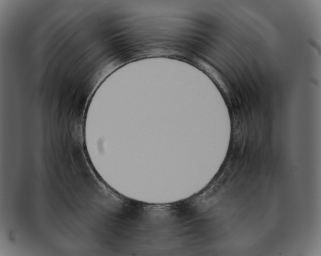 X0000091520810200709071015