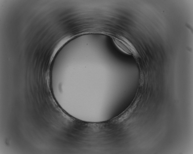 X0000091520812200709071015