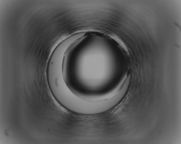 X0000091520813200709071015