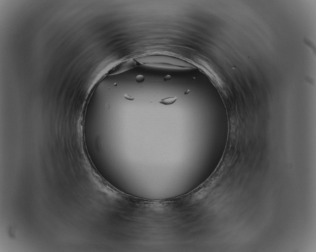 X0000091520814200709071015