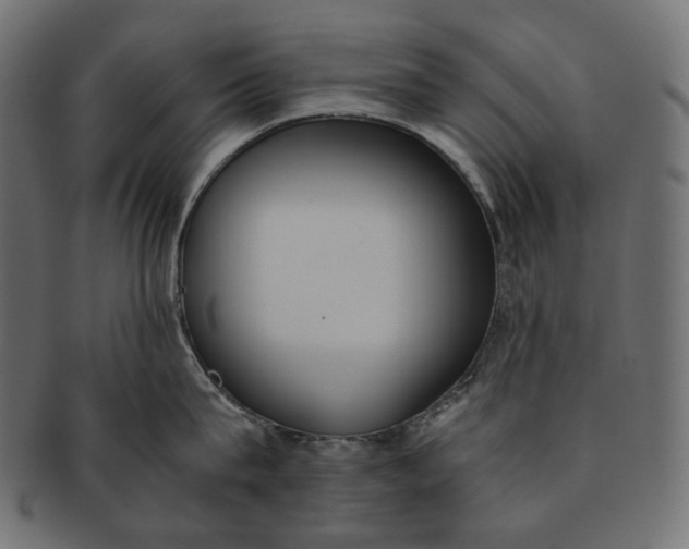 X0000091520815200709071015