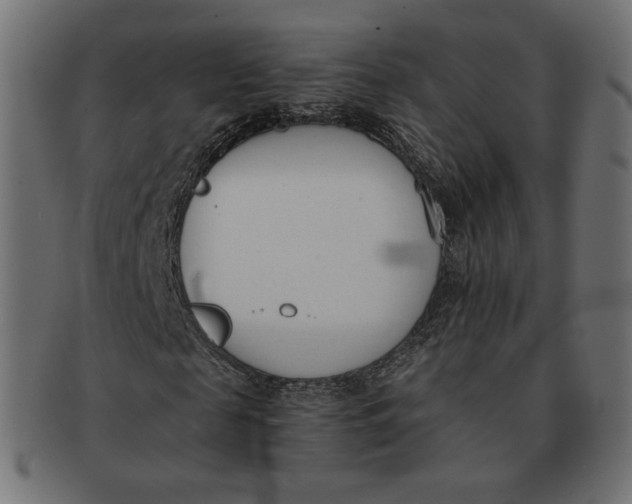 X0000091520817200709071015