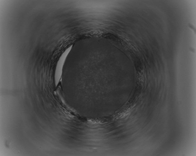 X0000091520818200709071015