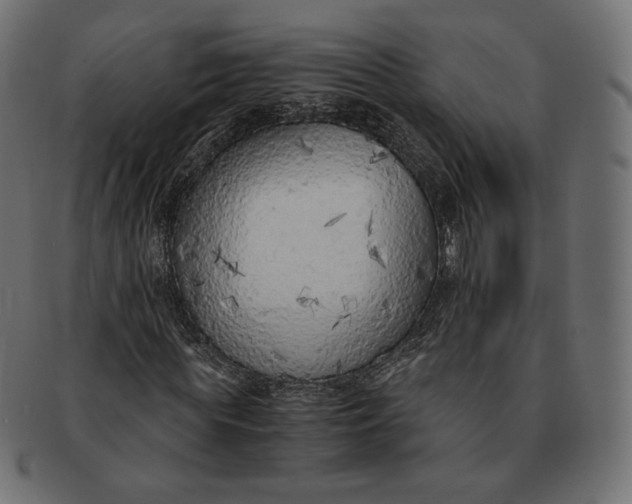 X0000091520819200709071015