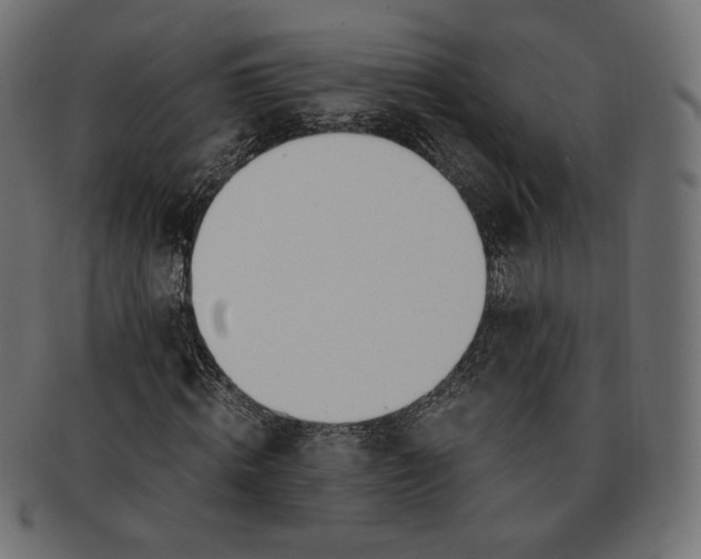 X0000091520820200709071015