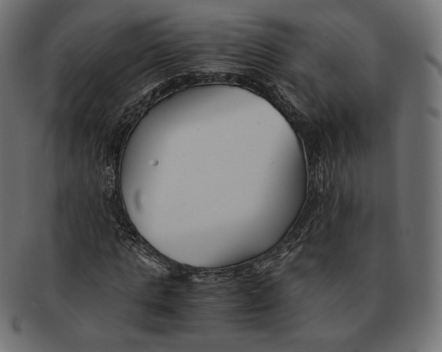 X0000091520821200709071015