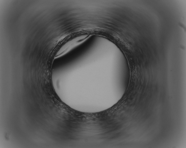 X0000091520822200709071015