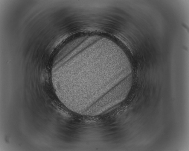 X0000091520823200709071015