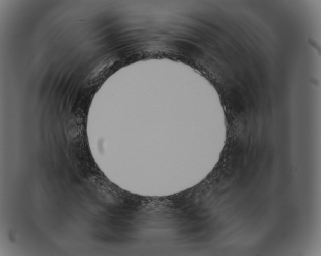 X0000091520824200709071015