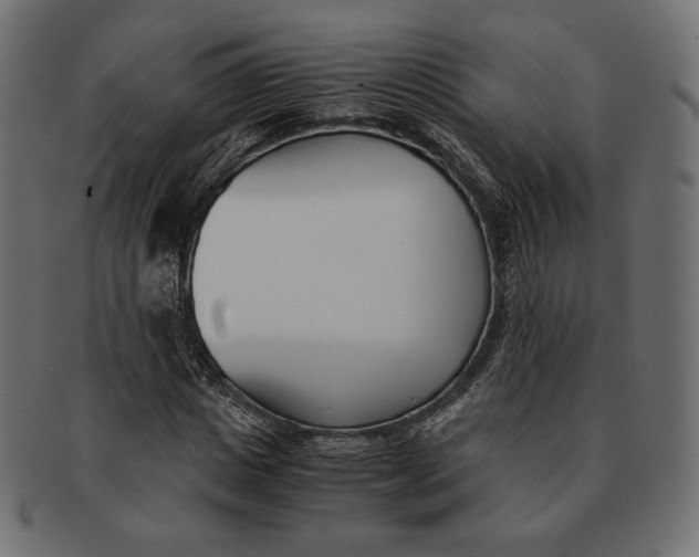 X0000091520825200709071015