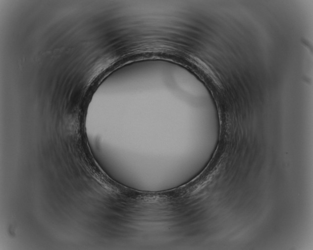 X0000091520826200709071015