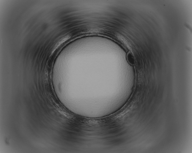 X0000091520827200709071015