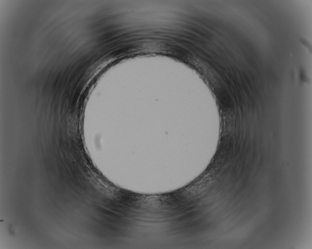 X0000091520828200709071015