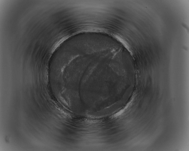 X0000091520829200709071015