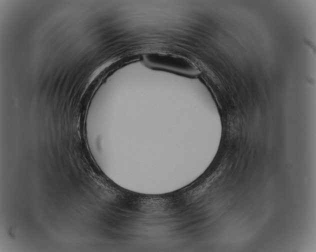 X0000091520830200709071015