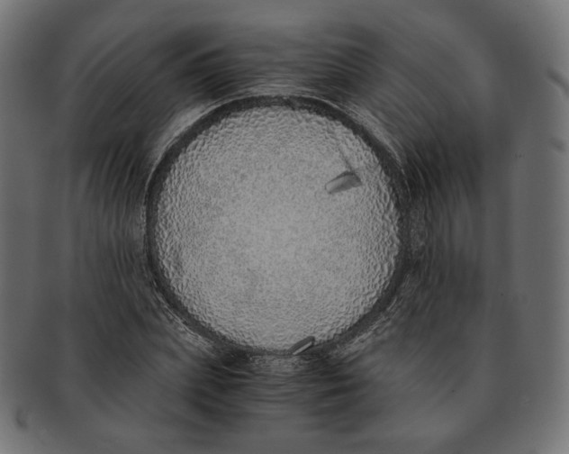 X0000091520831200709071015