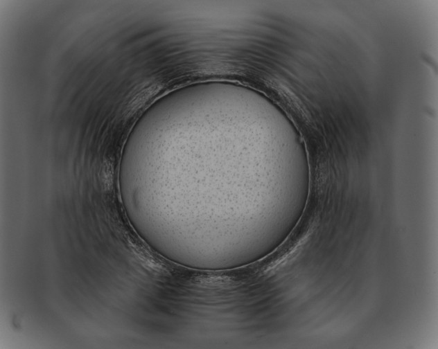 X0000091520833200709071015