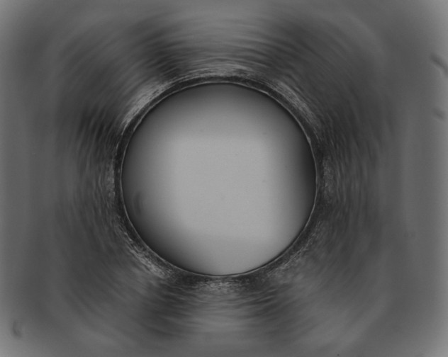 X0000091520834200709071015