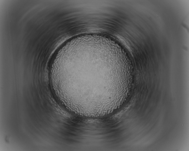 X0000091520835200709071015