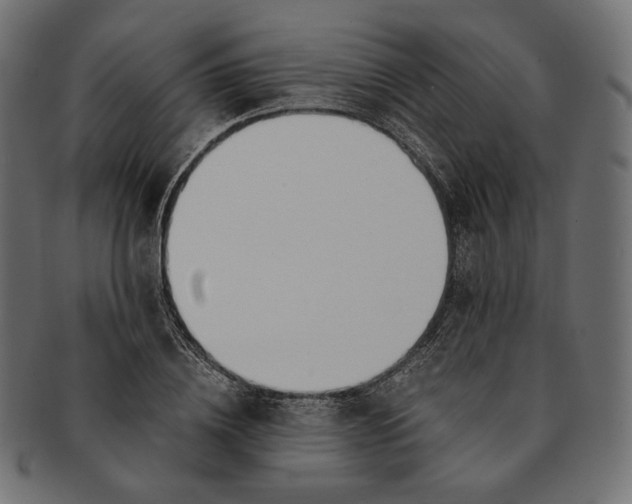 X0000091520836200709071015