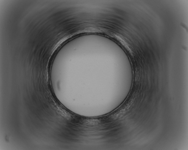 X0000091520837200709071015