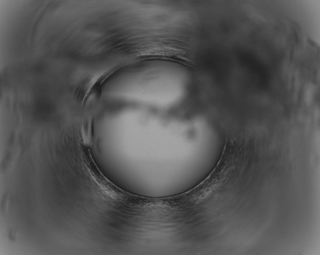 X0000091520838200709071015