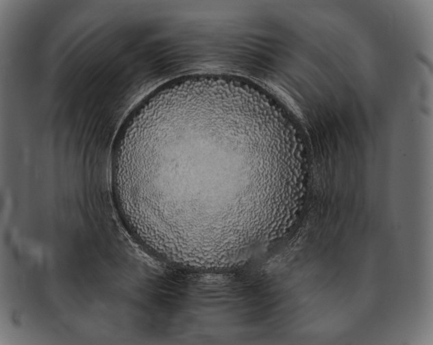 X0000091520839200709071015