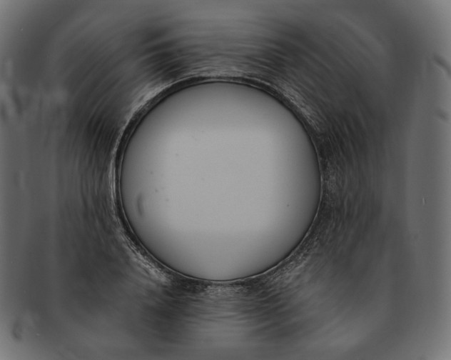 X0000091520840200709071015