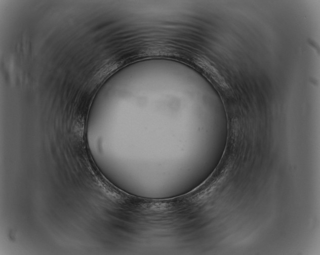 X0000091520841200709071015