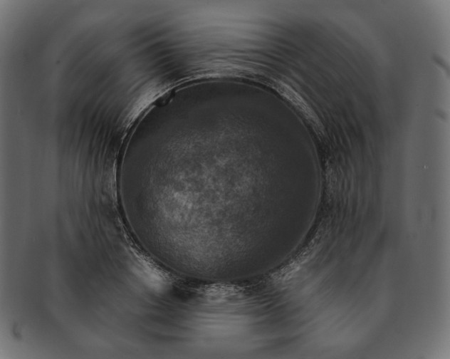 X0000091520842200709071015