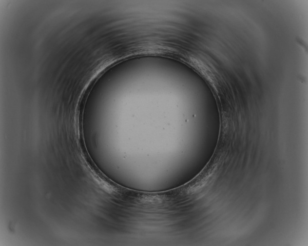 X0000091520843200709071015