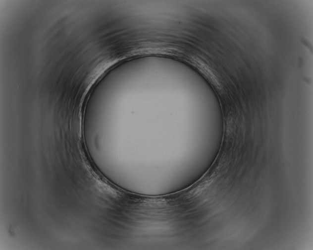 X0000091520844200709071015