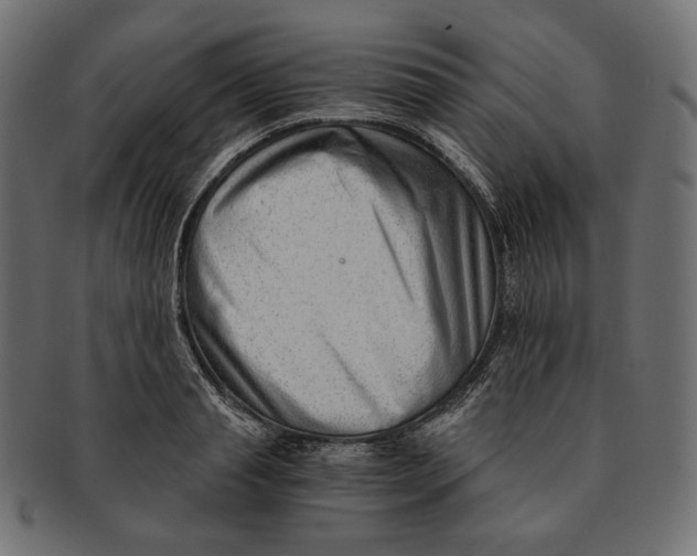 X0000091520845200709071015