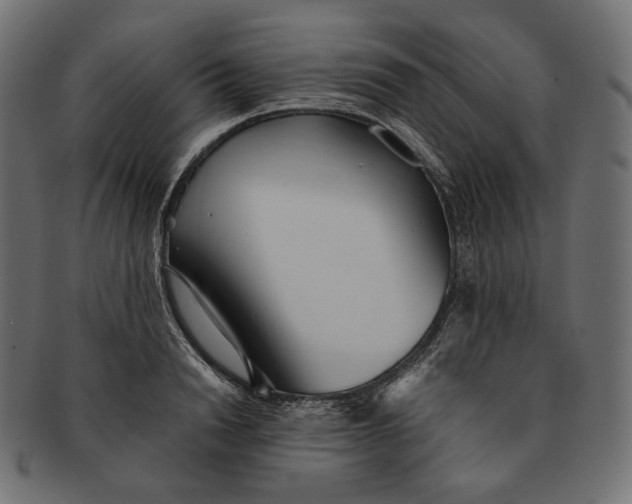 X0000091520846200709071015