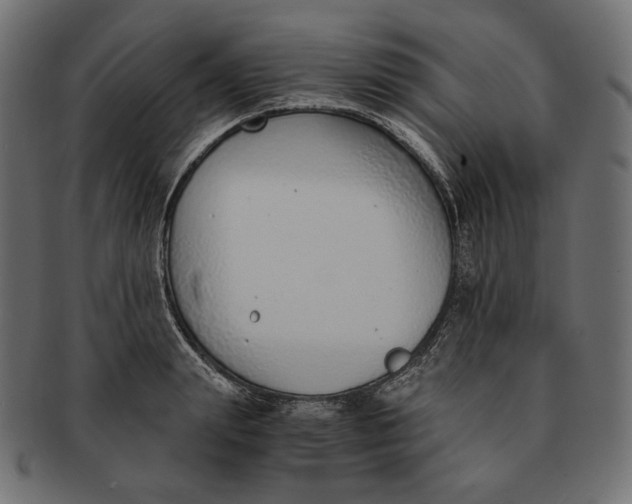 X0000091520847200709071015