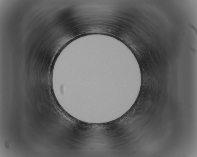 X0000091520848200709071015